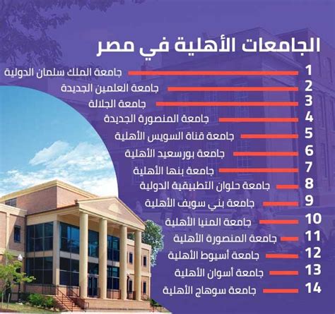 الجامعات الأهلية في مصر